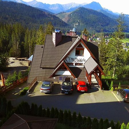 Kominkowy Zakopane Kültér fotó