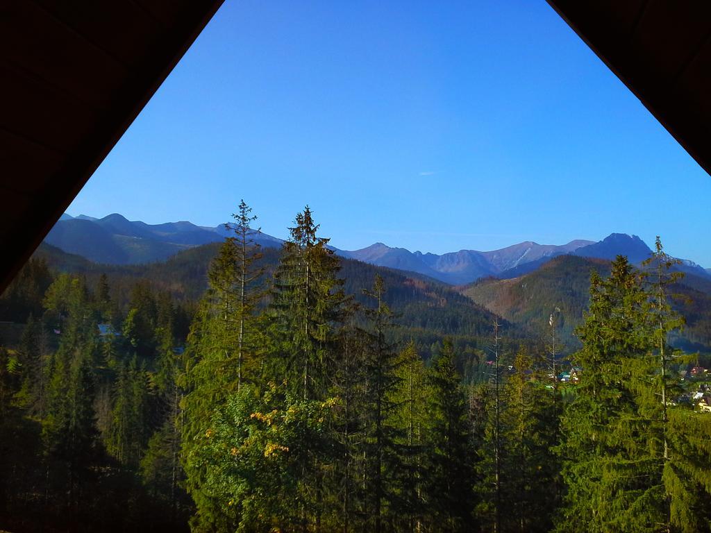 Kominkowy Zakopane Kültér fotó